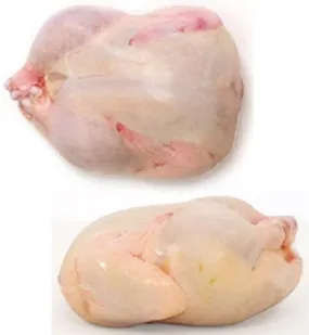 48 pack of 10"x16" Poultry Shrink Bags Chicken Freezer