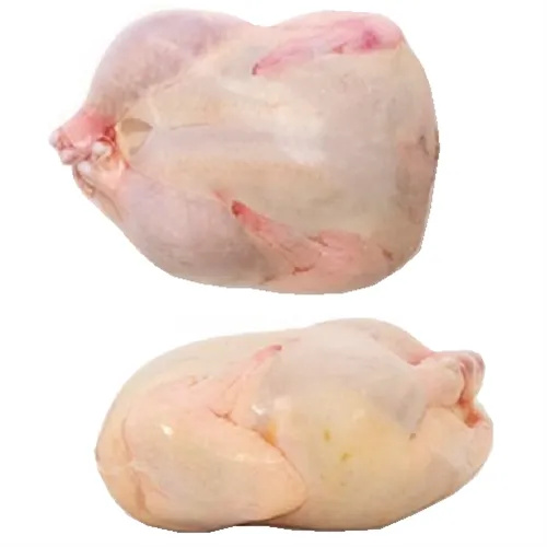 48 pack of 16"x25" Turkey Shrink Bags Poultry Freezer