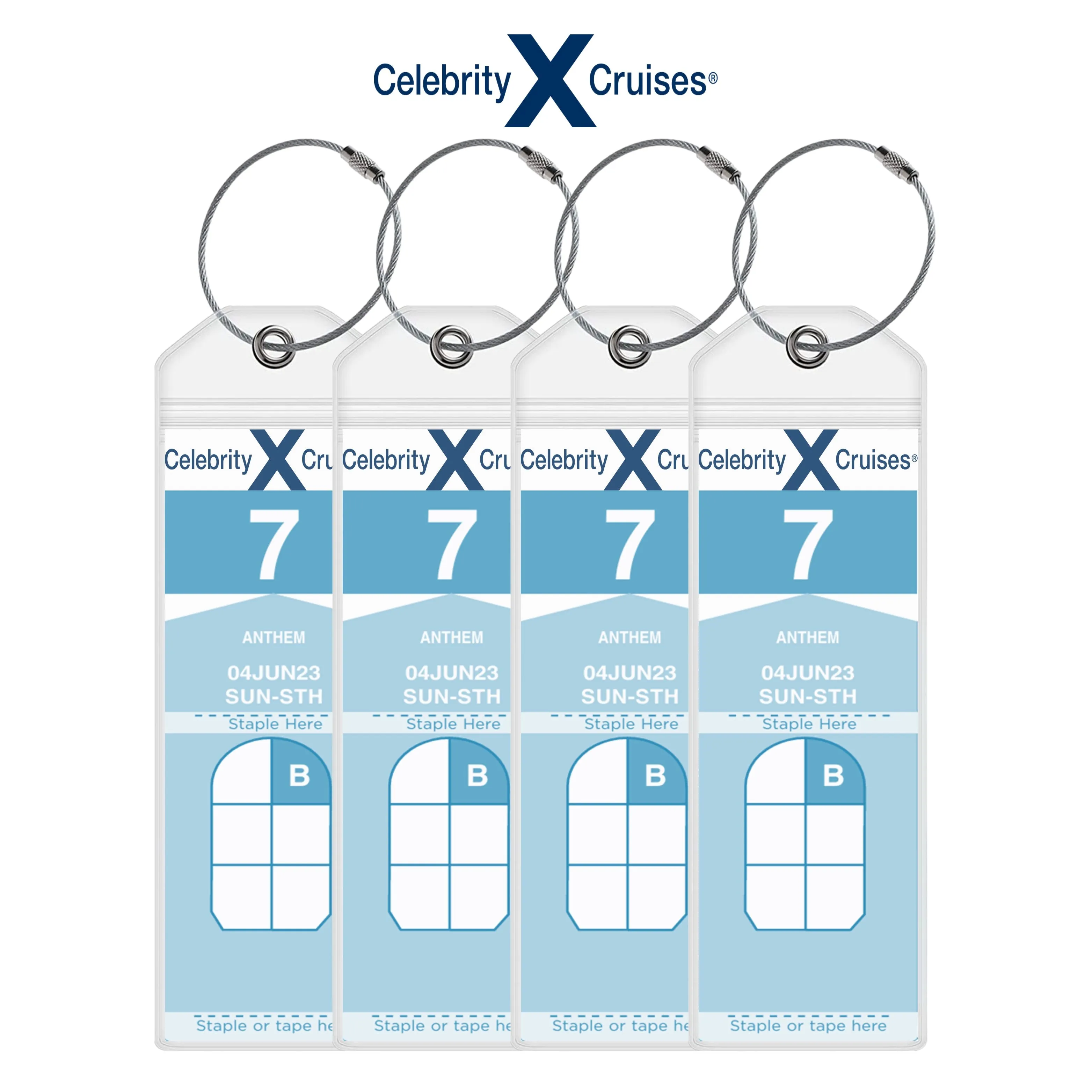 Celebrity Luggage Tag Holders - Set of 4