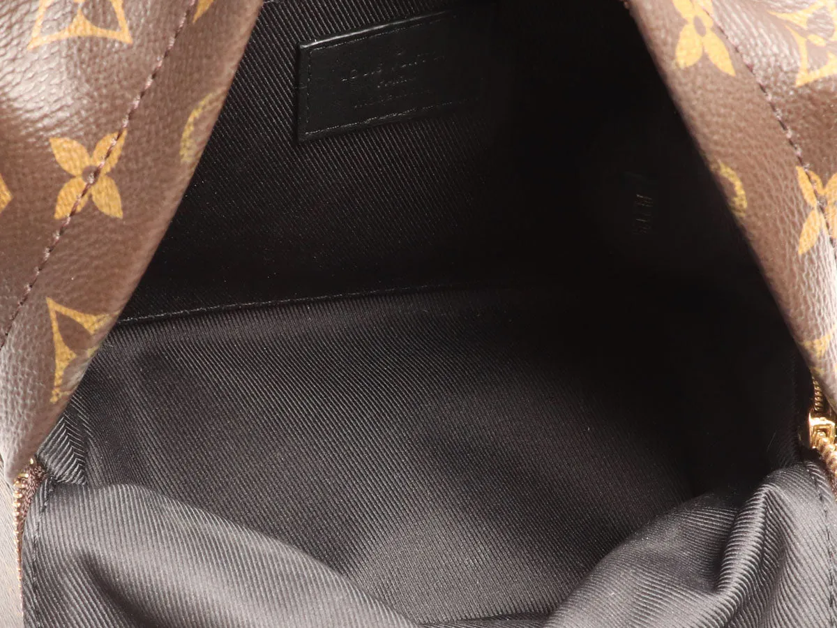 Louis Vuitton Mini Monogram Palm Springs Backpack