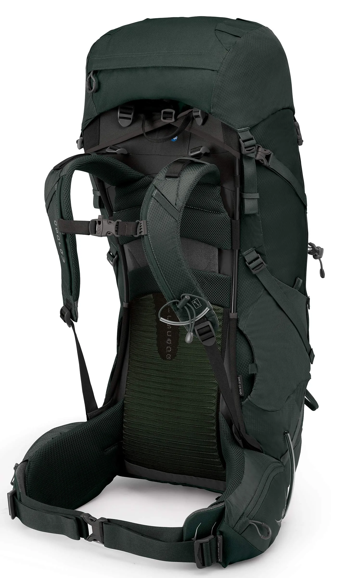Osprey Packs Volt 60 Backpacking Pack Conifer Green